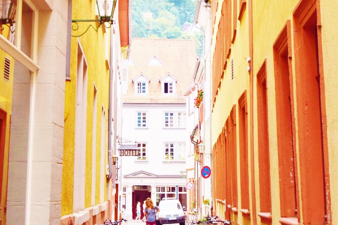 Heidelberg: Old Town Tour Including Castle Visit - What the private format adds