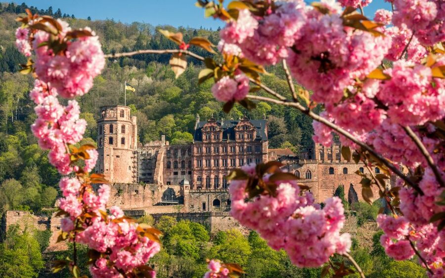Heidelberg: Sightseeing Bus and Castle Tour - The bus ride gives the castle a proper setting