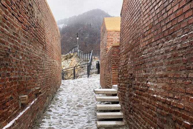 Hiking to the Poenari Fortress and Princely Court of Târgoviște - What the private format changes