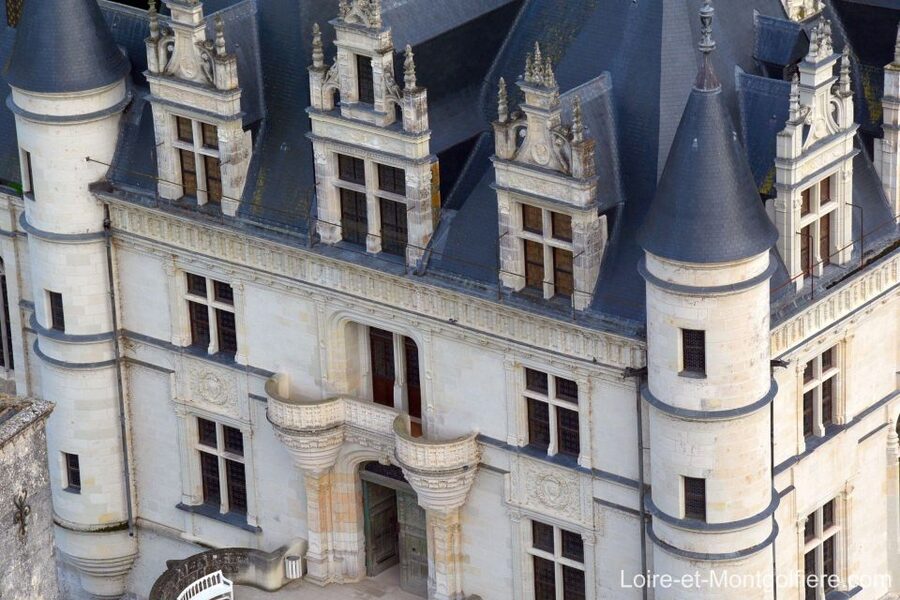 Hot Air Balloon Flight above the Castle of Chenonceau - Key points to know before booking