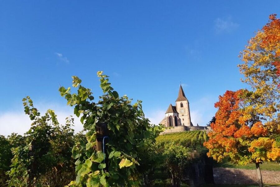 Iconics Typical villages & Haut Koenigsbourg castle - Hunawihr, the quieter first village