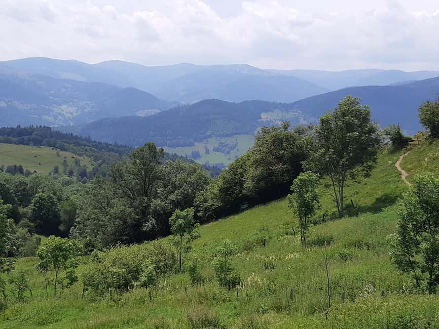 Iconics Typical villages & Haut Koenigsbourg castle - Who will get the most from this day