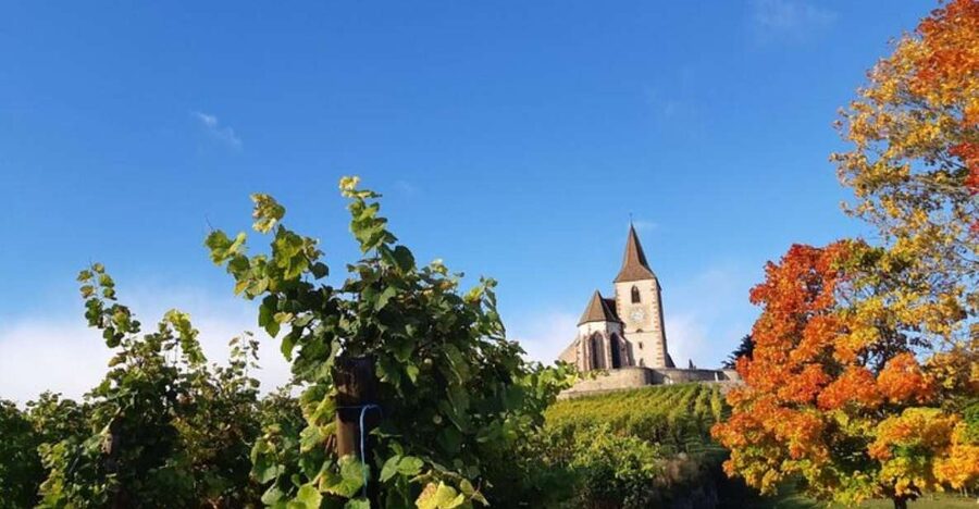 Iconics Typical villages & Haut Koenigsbourg castle - Riquewihr and its storybook streets