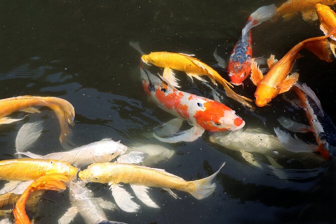 Imperial Palace East Garden and Edo Castle Walking Tour in Tokyo - Who will enjoy this walk most?