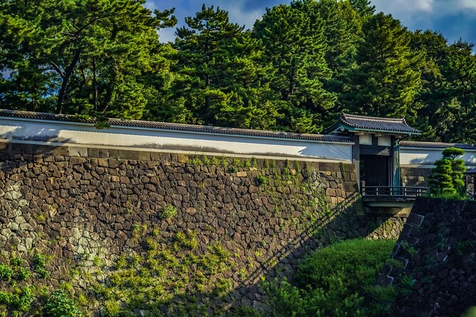 Imperial Palace East Garden and Edo Castle Walking Tour in Tokyo - Practical advice for making the most of it