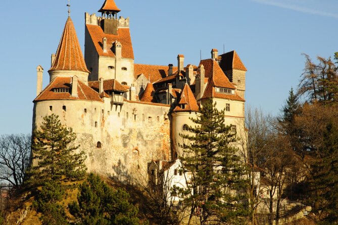 In Search of Dracula and the Teutons in Transylvania Full-Day Private Tour - What the private format changes