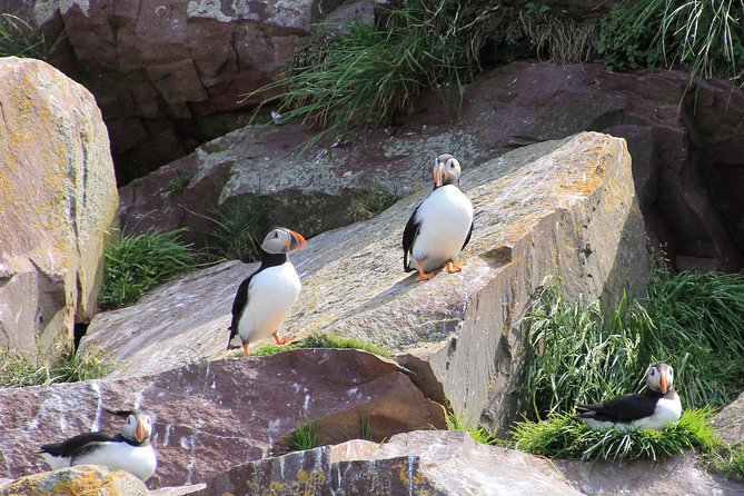 Inverness: John O'Groats, Dunrobin Castle & the Far North - Wick is the practical lunch break
