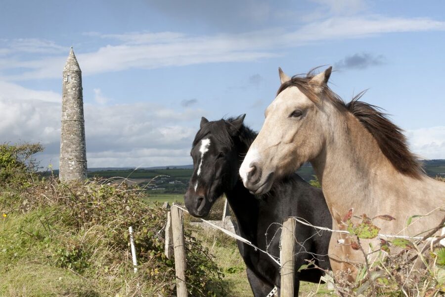 Ireland: Blarney Castle, Kilkenny & Irish Whiskey 3-Day Tour - The minicoach, guide and group size