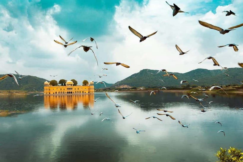 Jaipur: Amber Fort, Stepwell & Jal Mahal with Pickup - Jal Mahal works best as a lakeside pause