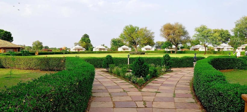 Jaipur: Haunted Bhangarh Fort and Abhaneri Stepwell Day Trip - Should you book the Chand Baori and Bhangarh trip?
