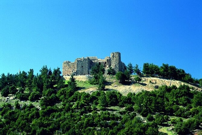 Jerash and Ajloun Castle Full day Tour - Ajloun Castle and its hilltop views