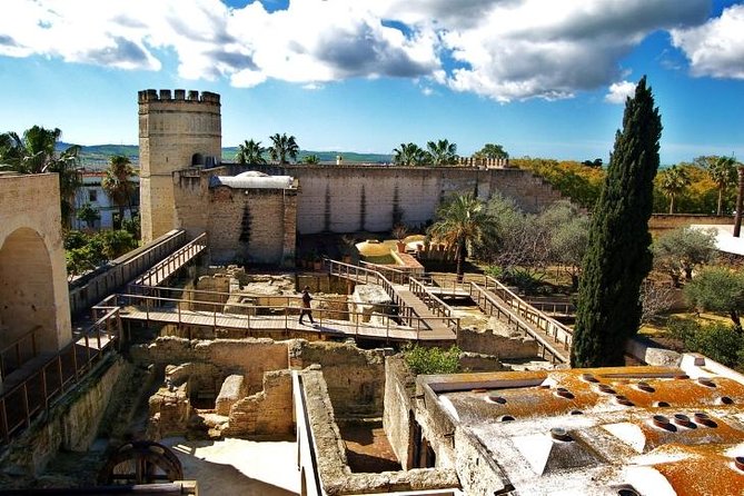 Jerez Walking Tour with Alcazar and Cathedral Entrance - The guides are the strongest part of the experience