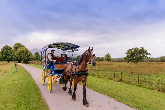 Killarney Jaunting Car Tour- Park to Castle - Starting near central Killarney