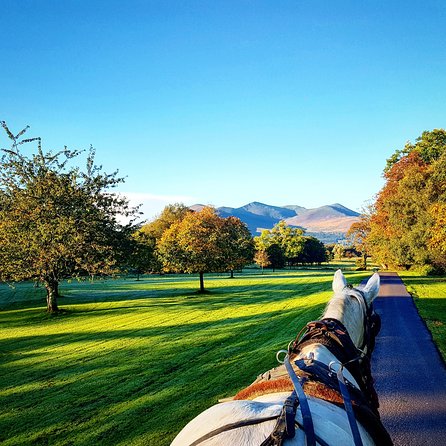 Killarney Jaunting Car Tour- Park to Castle - Entering 26,000 acres of Killarney National Park