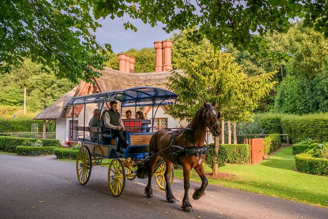 Killarney Jaunting Car Tour- Park to Castle - From St. Mary’s Cathedral to the park