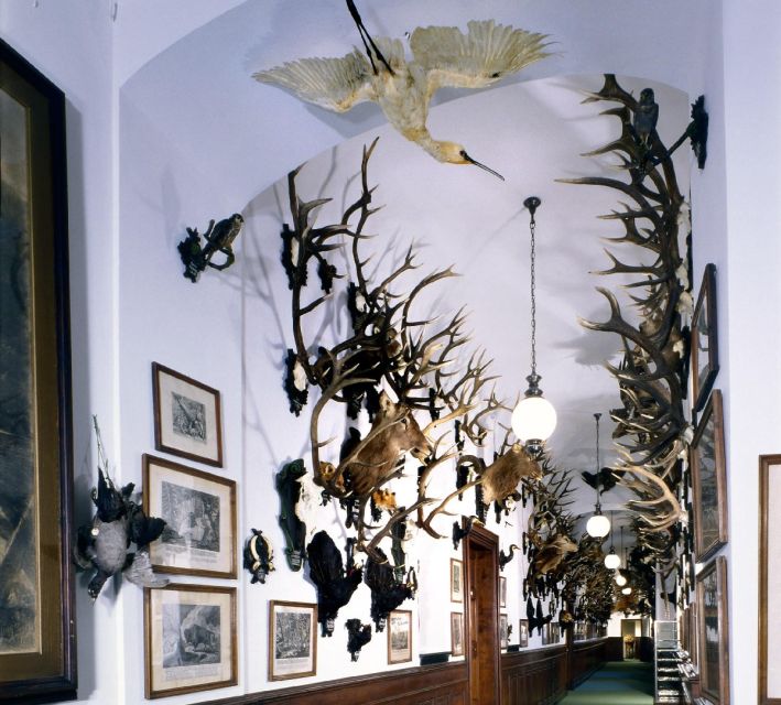 Konopiště: Chateau Tour from Prague - Is $76 a fair price?