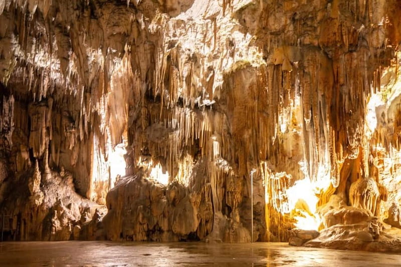 Koper/Trieste: Postojna Cave & Predjama Castle Tour & Ticket - Riding the famous train into Postojna Cave