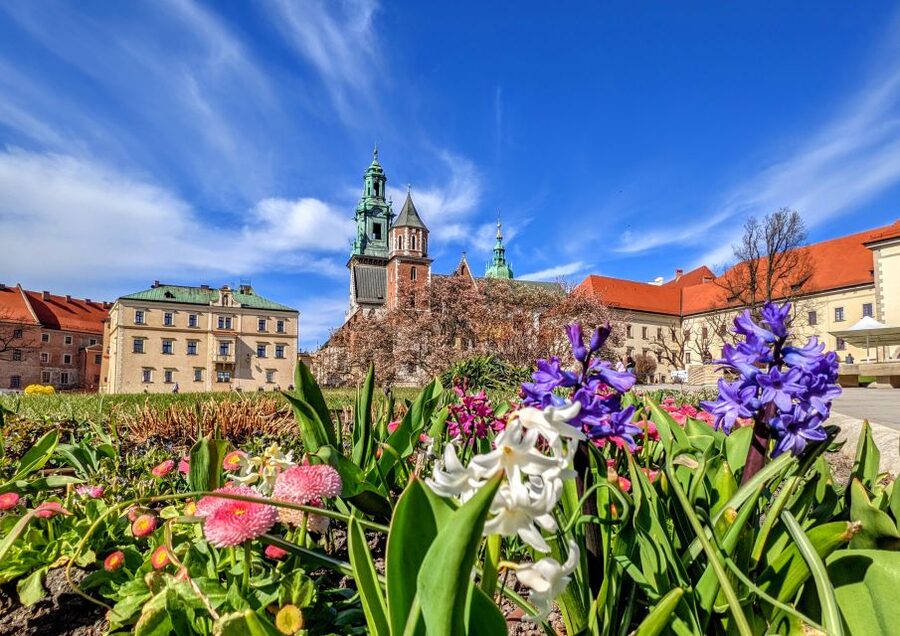 Kraków: Old Town & Wawel Castle Walking Tour in English - Wawel Hill, the cathedral, and the royal courtyards
