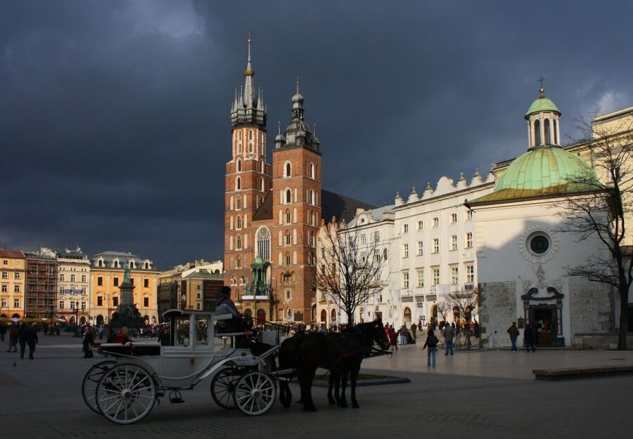 Krakow: Skip-the-Line Wawel Castle & Old Town Guided Tour - What the guide adds to the experience