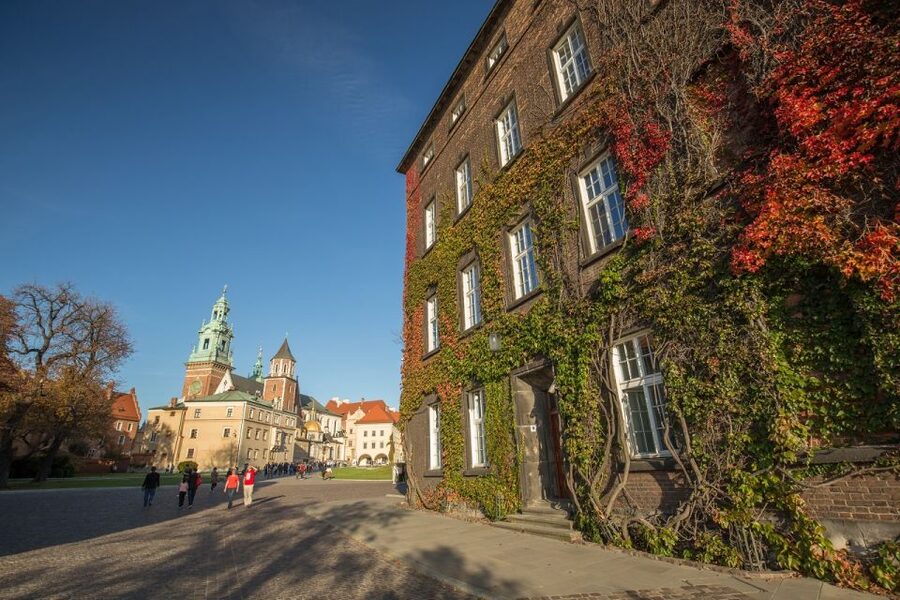 Krakow: Wawel Castle Guided Tour - The Wawel Cathedral visit