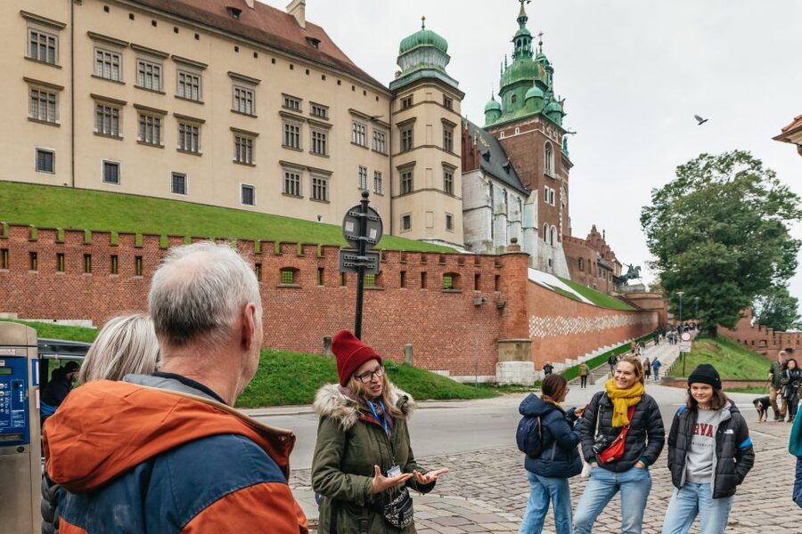 Krakow: Wawel Royal Hill with Optional Castle and Cathedral - Price, pace, and overall value