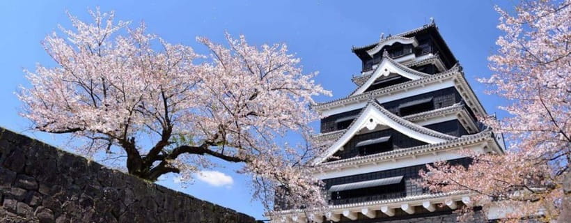 Kumamoto: Castle Admission Ticket - Why Kumamoto Castle deserves your time