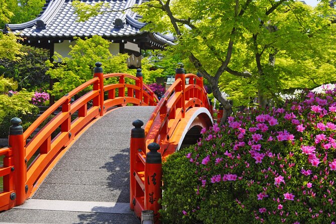 Kyoto: Nijo Castle World Heritage Guided Tour with Admission - Shogun, emperor, and Tokugawa Ieyasu
