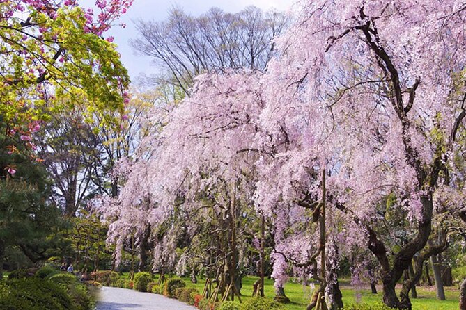 Kyoto: Nijo Castle World Heritage Guided Tour with Admission - Is $39.24 a fair price?