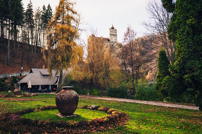 Legends&Wildlife Awaits: Dracula's Castle & Bear Sanctuary - Key points at a glance