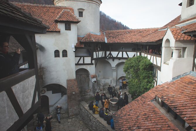Legends&Wildlife Awaits: Dracula's Castle & Bear Sanctuary - Two very different sides of Transylvania