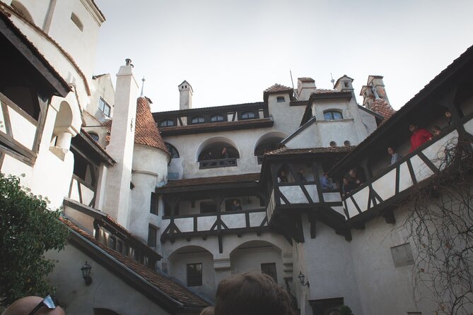 Legends&Wildlife Awaits: Dracula's Castle & Bear Sanctuary - Is $224.76 a fair price?