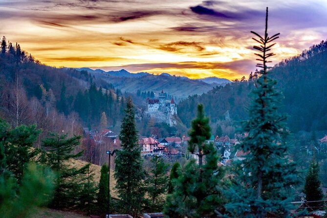 Legends&Wildlife Awaits: Dracula's Castle & Bear Sanctuary - Booking details worth knowing