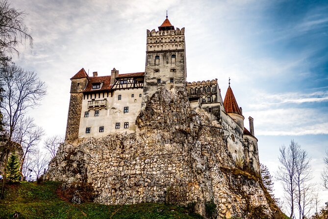 Legends&Wildlife Awaits: Dracula's Castle & Bear Sanctuary - Libearty Bear Sanctuary: the day’s strongest stop