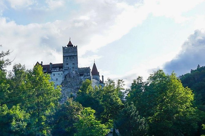 Libearty Bear Sanctuary and Dracula's Castle - Day Tour from Bucharest - Price and what you actually receive