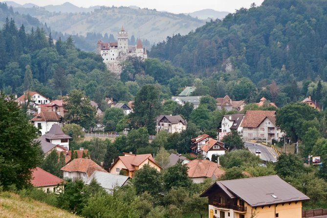 Libearty Bear Sanctuary and Dracula's Castle - Day Tour from Bucharest - Timing, weather, and small practical details