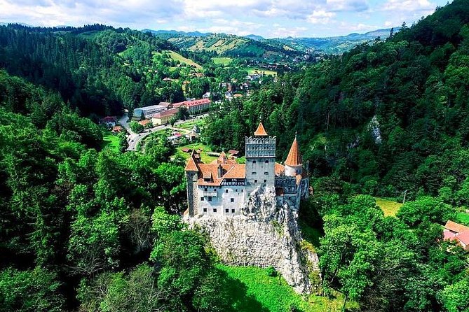 Libearty Bear Sanctuary and Dracula's Castle - Day Tour from Bucharest - Should you book the Libearty and Bran Castle tour?