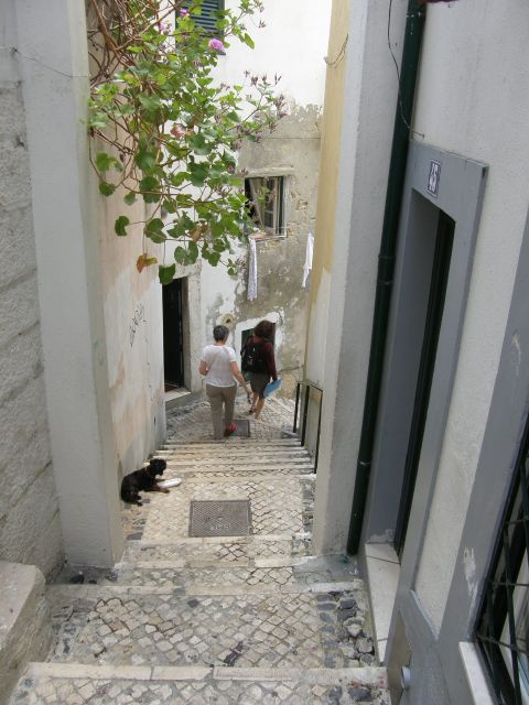 Lisbon: Alfama and São Jorge Castle Quarters Walking Tour - Starting at Casa dos Bicos in Campo das Cebolas