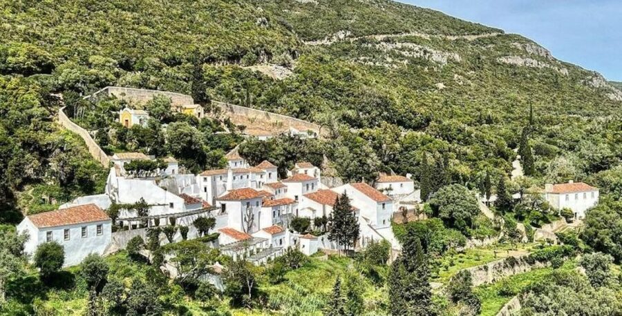 Lisbon: Arrábida & Sesimbra w/ Palmela Castle & Wine Tasting - Azeitão wine, tiles, and local character