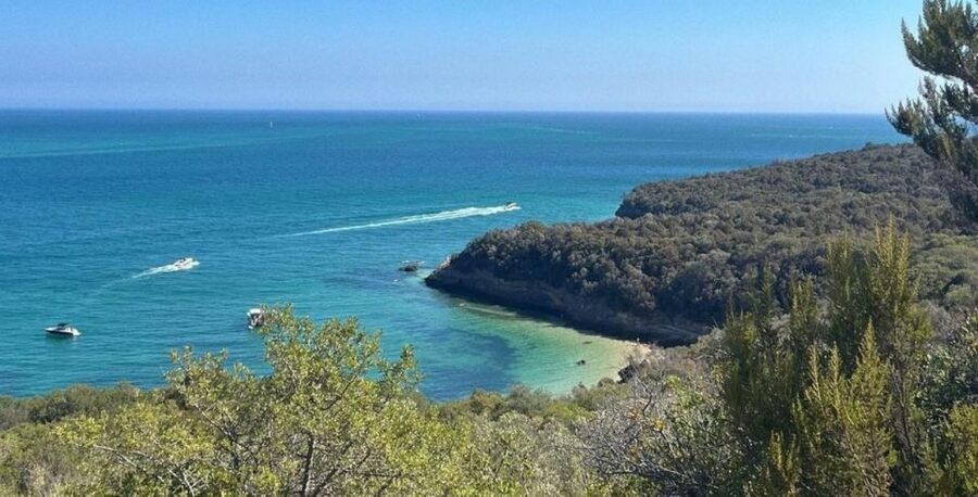 Lisbon: Arrábida & Sesimbra w/ Palmela Castle & Wine Tasting - Lunch and free time beside the water in Sesimbra