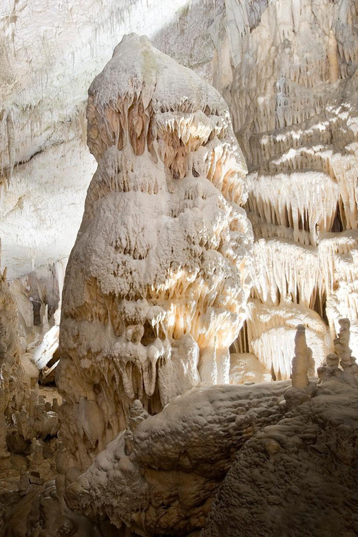 Ljubljana: Postojna Cave and Predjama Castle Tour - FAQ