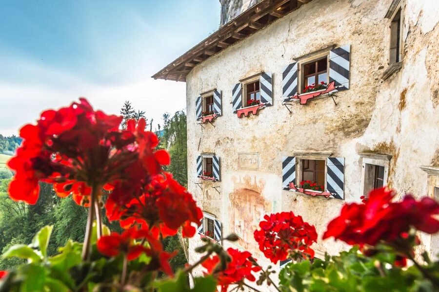 Ljubljana: Postojna Cave & Predjama Castle Tickets and Tour - What the transport and timing feel like