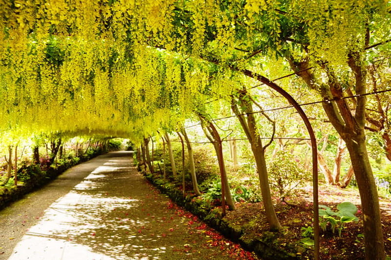 Llandudno: Snowdonia Bodnant Gardens & Castles Private Tour - Key points at a glance