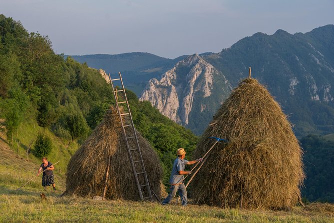 Local experience from Brasov - Transylvanian villages and Bran Castle - Key points to know before booking