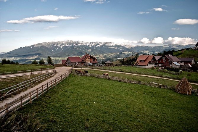 Local experience from Brasov - Transylvanian villages and Bran Castle - Into the Bucegi mountain villages