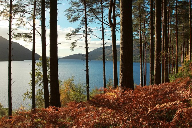 Loch Lomond, Kelpies & Stirling Castle Tour Including Admission - Lunch is practical, not part of the package