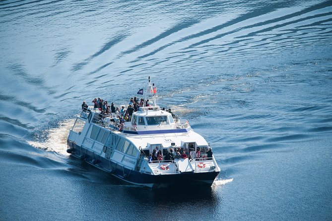 Loch Ness 1-Hour Cruise with Urquhart Castle Views - What this Loch Ness hour actually gives you