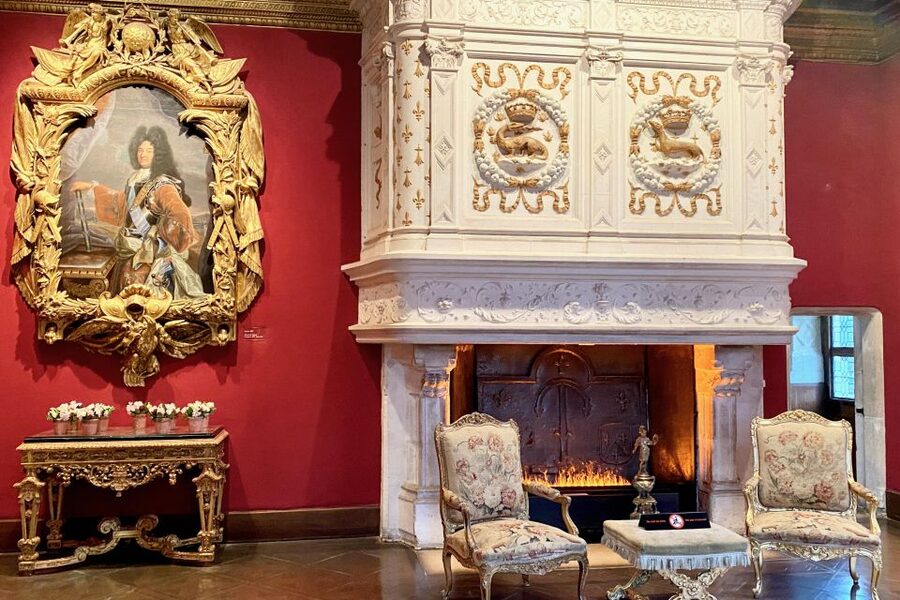 Loire Valley Castles: Chenonceau, Amboise & Da Vinci Trip - Who should book this Loire Valley trip?
