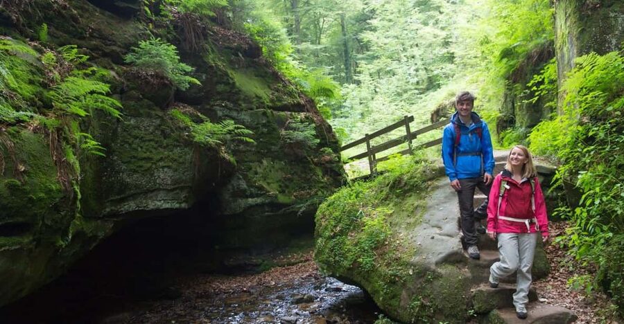 Luxembourg: Nature, History and Castles Full-Day Tour - Why this day trip works for seeing more of Luxembourg