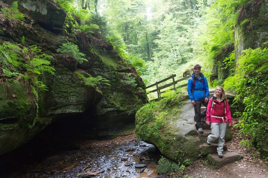 Luxembourg: Nature, History and Castles Full-Day Tour - Beaufort Castle among the forests