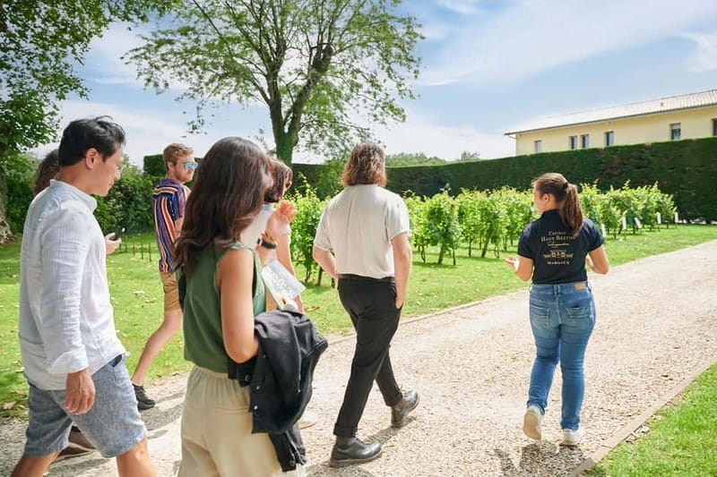 Margaux - Guided tour and lunch at the château - What the two-hour itinerary feels like